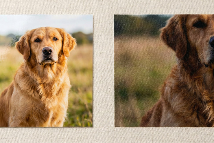 比較画像：明るくピントの合った犬の写真と、暗くてブレた犬の写真（プリントイメージとして）