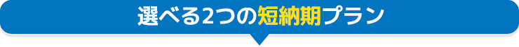 バッグ 選べる納期プラン